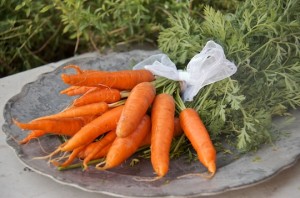 Market carrots
