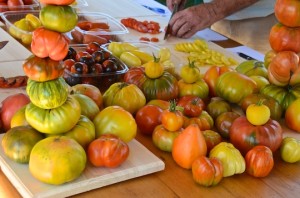 Sunshine Farm tomatoes