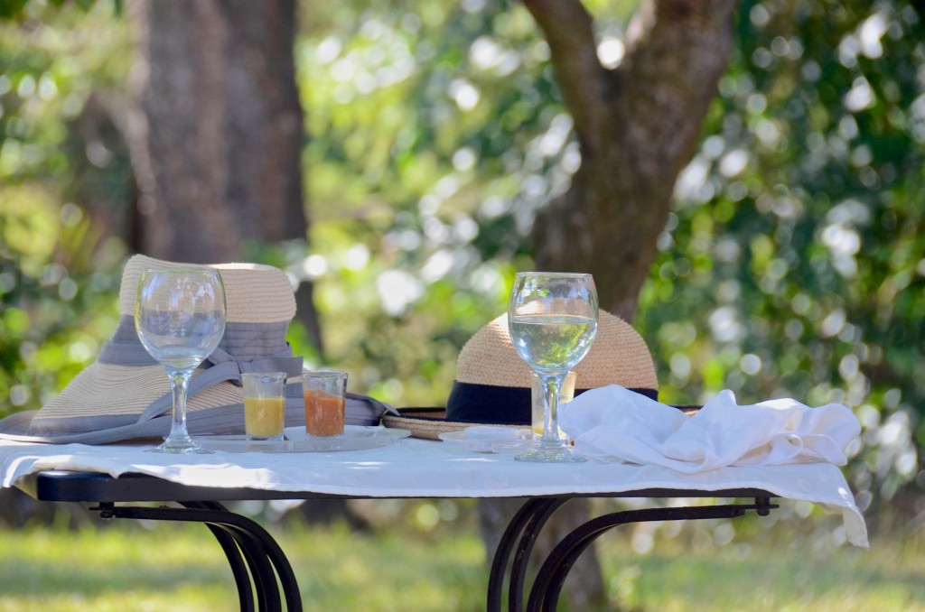 A foodie table under a tree