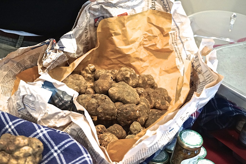 White truffles of San Miniato