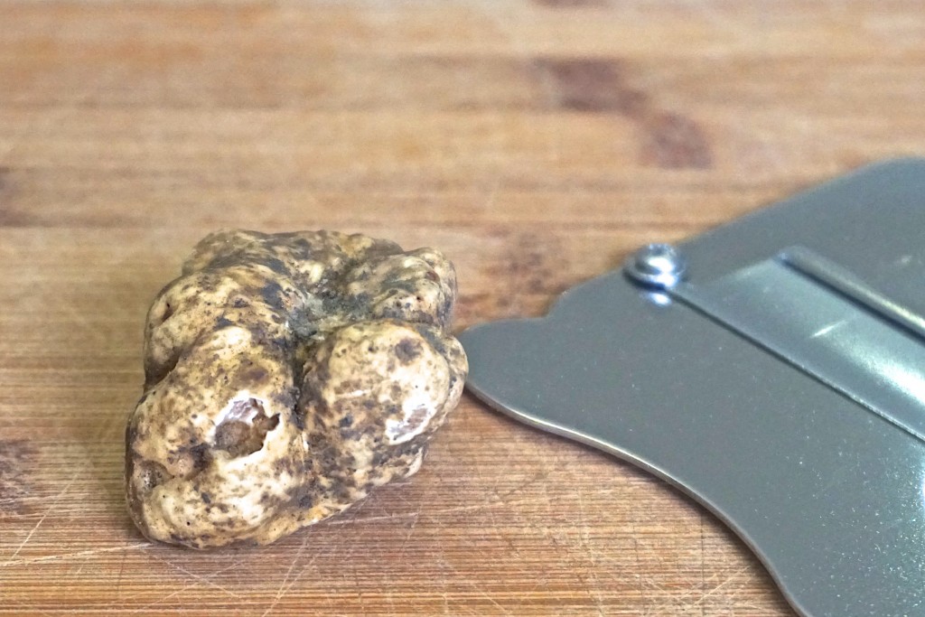 White truffle from San Miniato