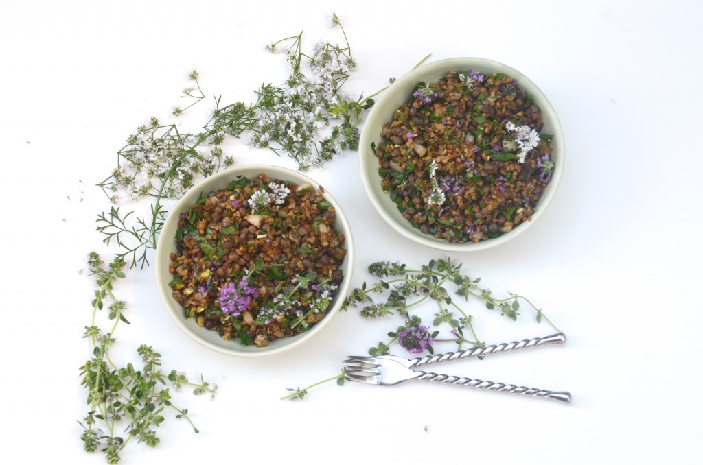 Lentil and quinoa with herb flowers