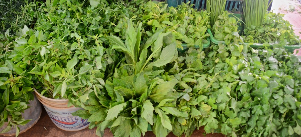 Epazote and other herbs