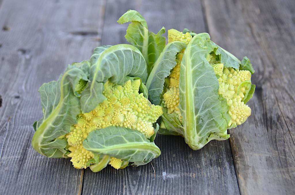 Romanesco broccoli (or cauliflower)