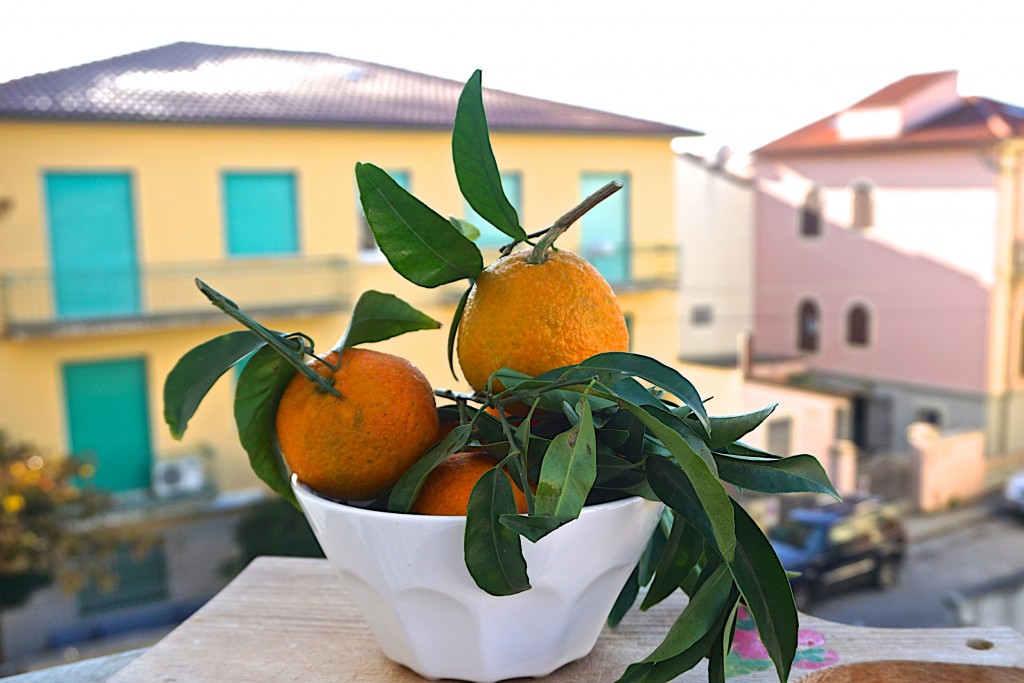 Mandarine oranges