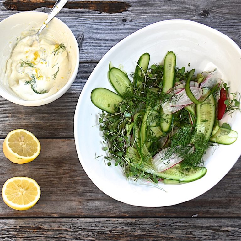 Cucumber, radish and dill salad with foraged watercress and lemon creme